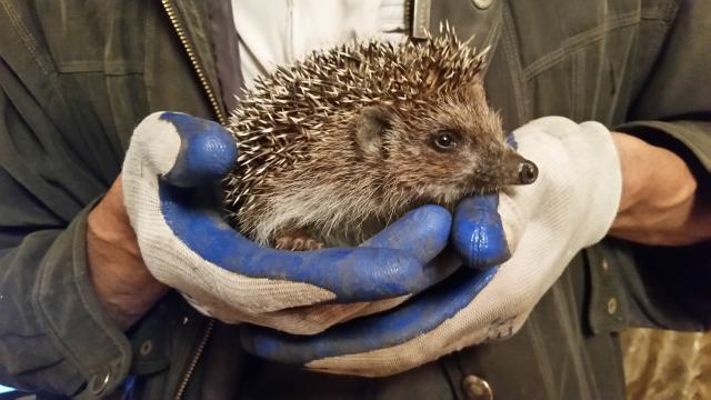 20150824_220906.thumb.jpg.67284f758abd40