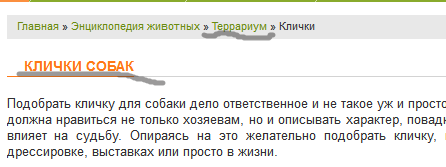 55d65c34a2b4a_2015-08-21_02-00-02___Plus