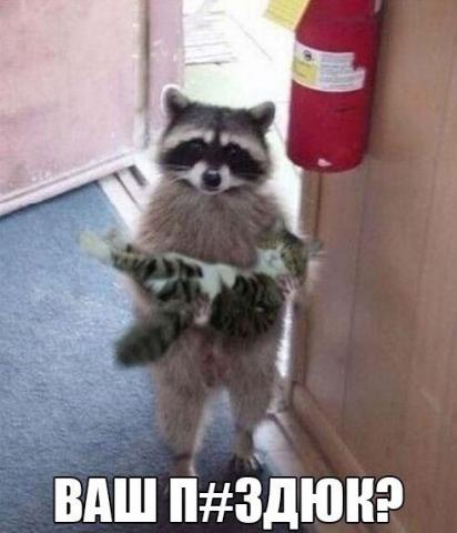 2361937450.thumb.jpg.fa3ea33fe3ec4c6ac8b