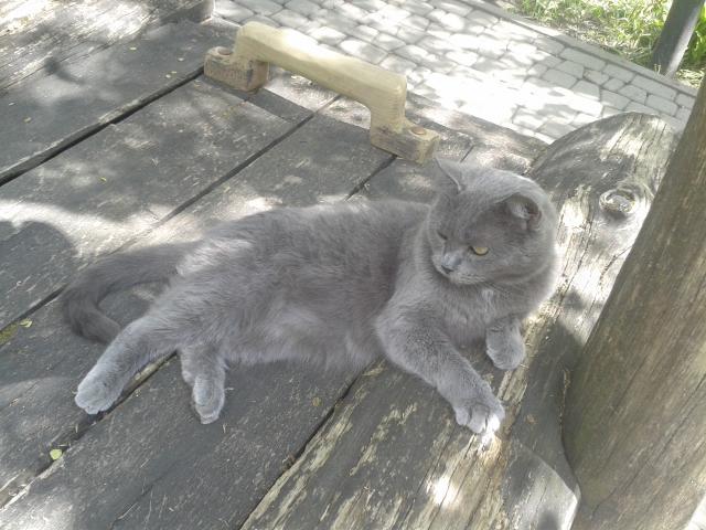 2017-05-20 13.36.24.jpg