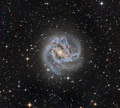 M83 small.jpg