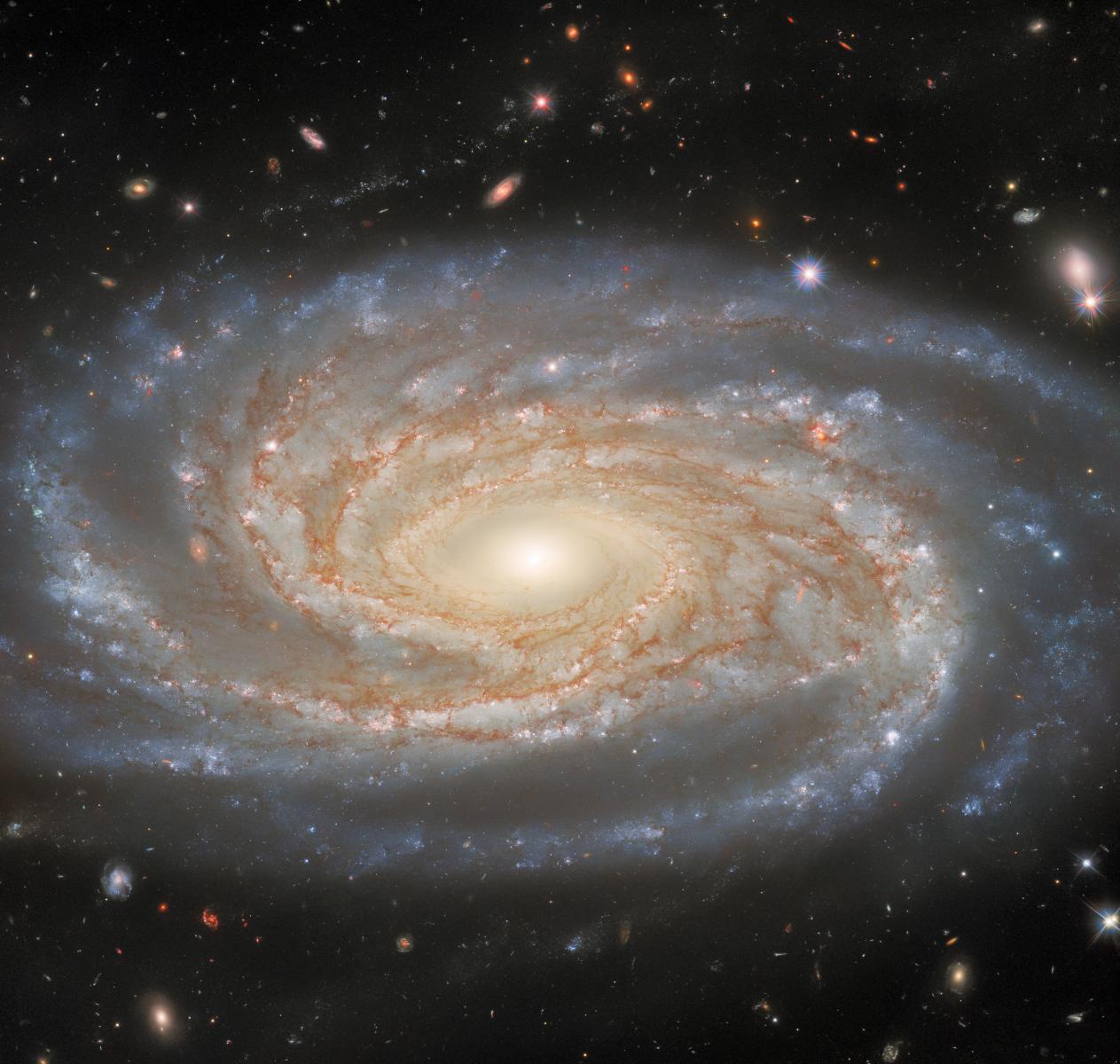 NGC 7038.jpg